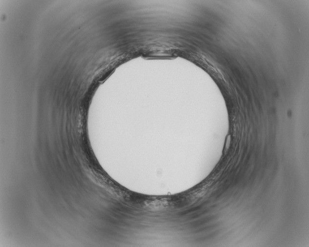 X0000088220362200706121836