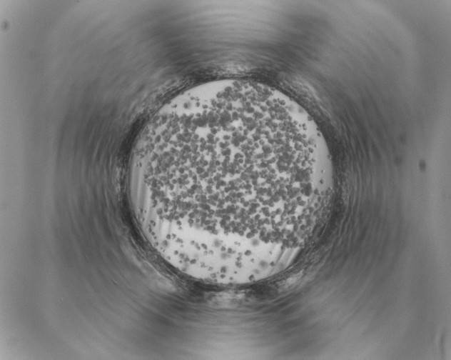 X0000088220366200706121836