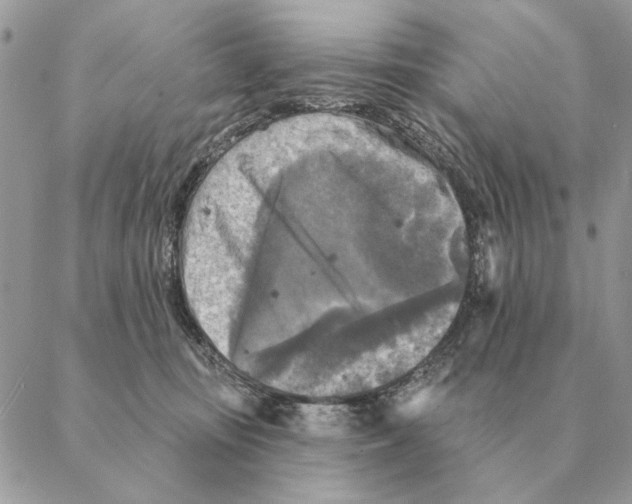 X0000088220371200706121836