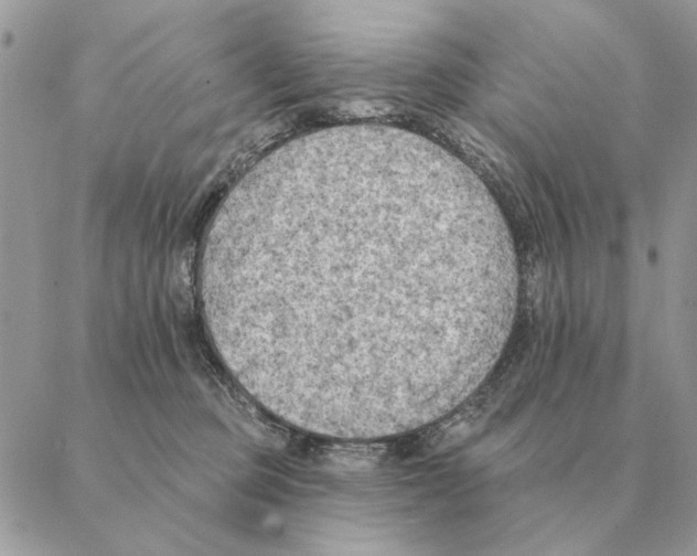 X0000088220373200706121836