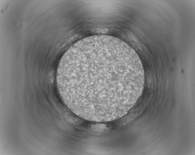 X0000088220374200706121836