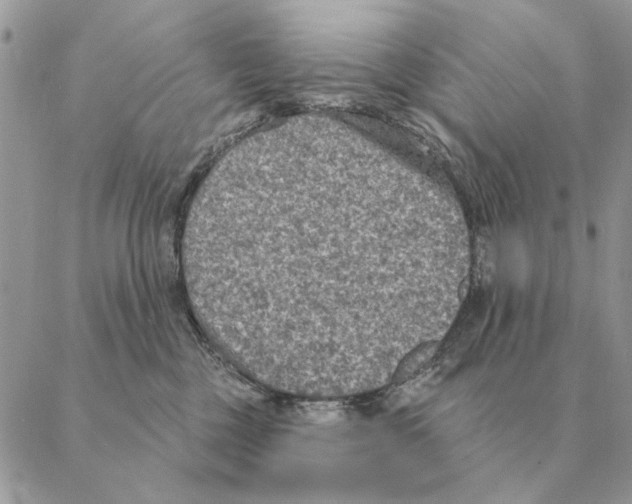 X0000088220377200706121836