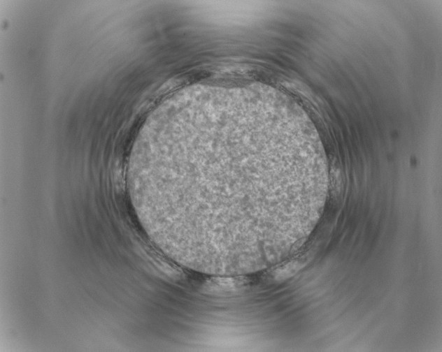 X0000088220381200706121836
