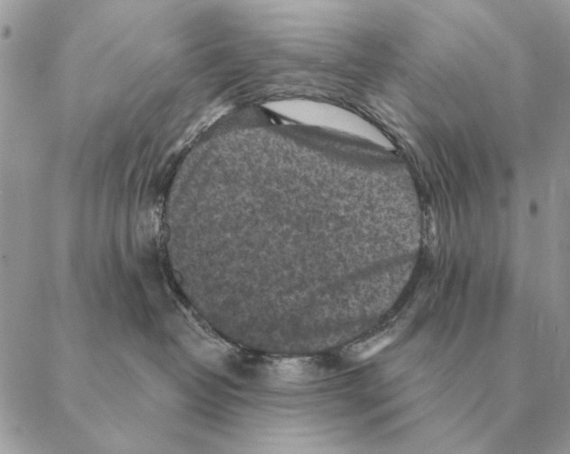 X0000088220382200706121836