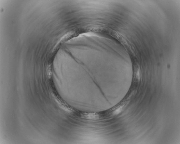 X0000088220383200706121837