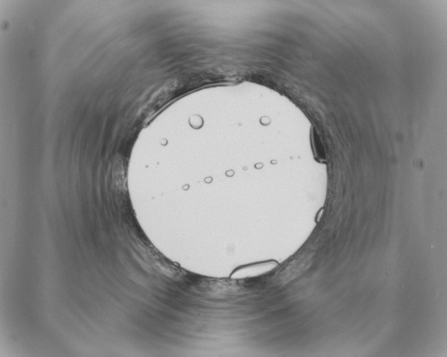 X0000088220384200706121837