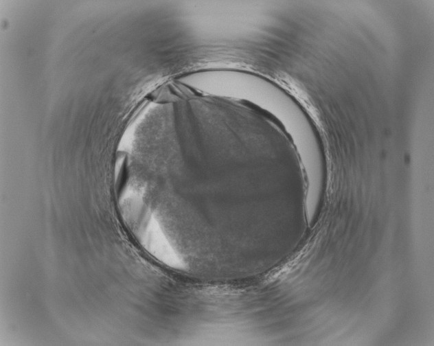 X0000088220385200706121836