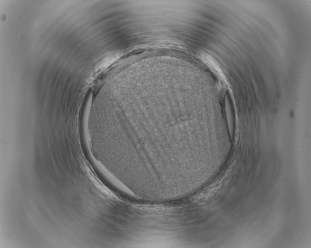 X0000088220389200706121836