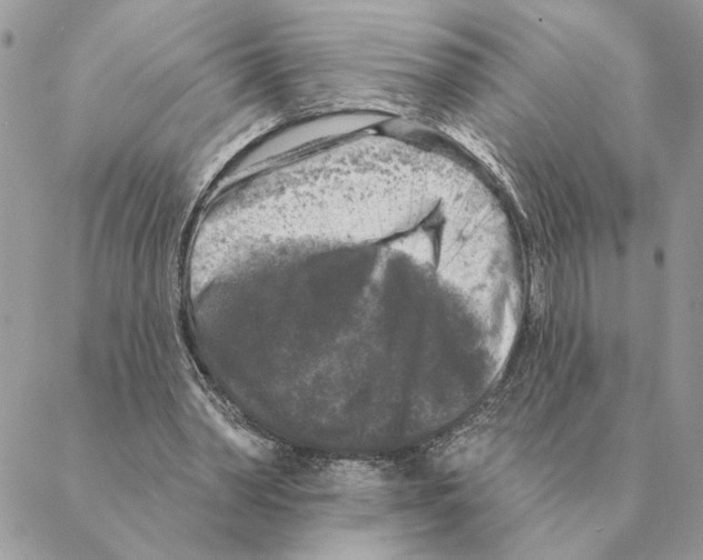 X0000088220390200706121836