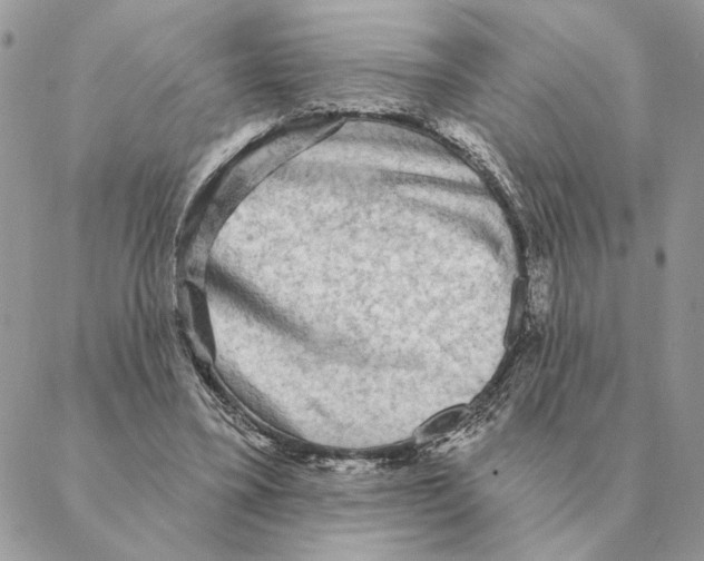 X0000088220395200706121836