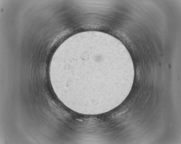 X0000088220396200706121836