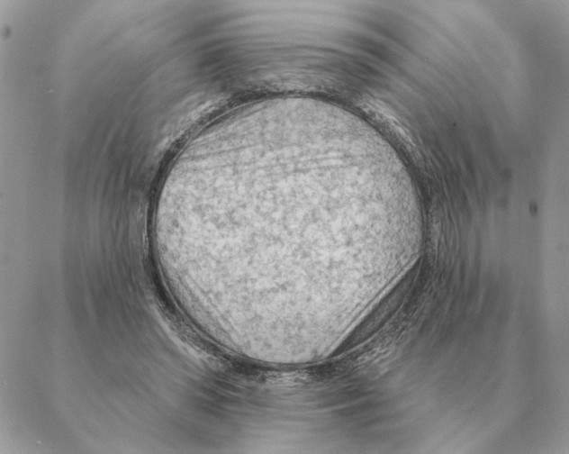 X0000088220398200706121836