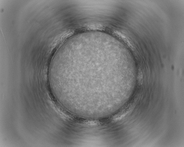 X0000088220402200706121835