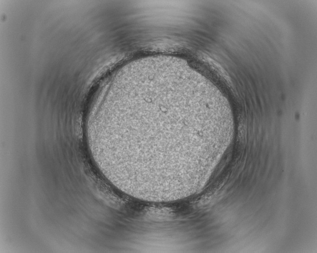 X0000088220403200706121835