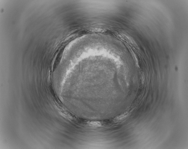 X0000088220409200706121835