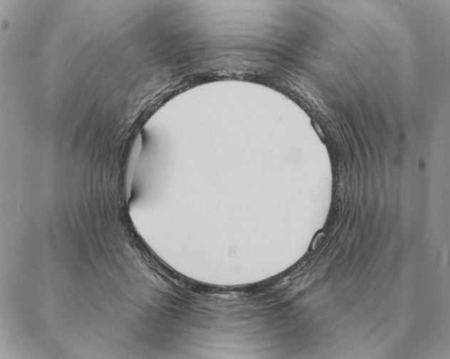 X0000088220411200706121835