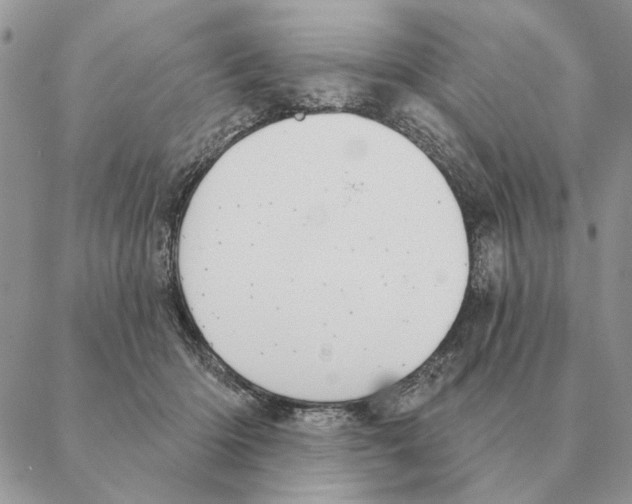 X0000088220414200706121835
