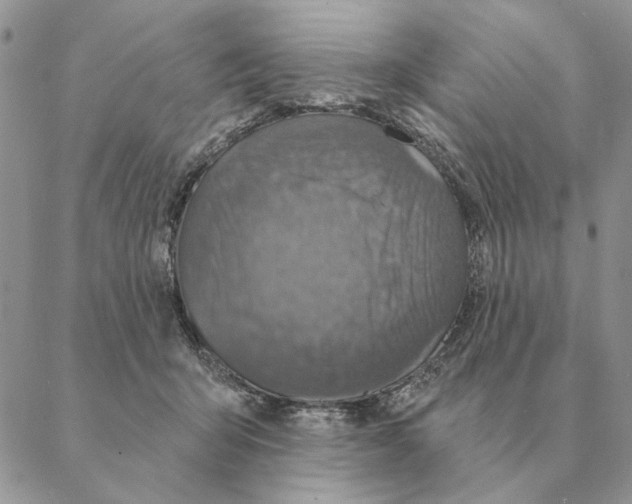 X0000088220415200706121835