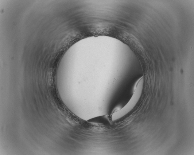X0000088220416200706121835