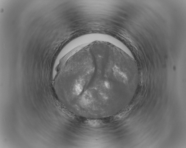 X0000088220417200706121835
