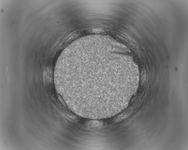 X0000088220421200706121835
