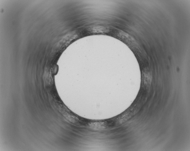 X0000088220422200706121835