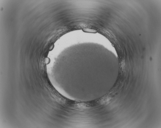 X0000088220423200706121835