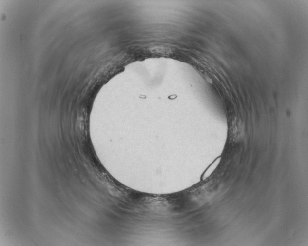 X0000088220424200706121835