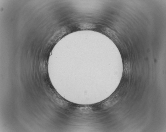 X0000088220426200706121835