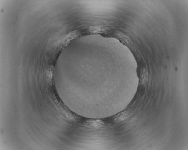 X0000088220427200706121835