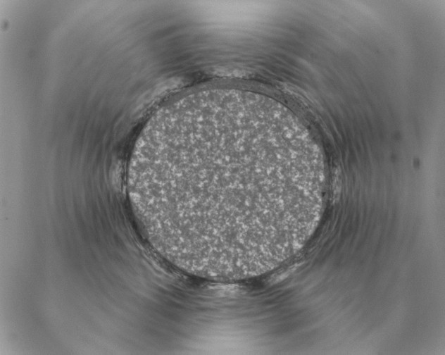 X0000088220428200706121835
