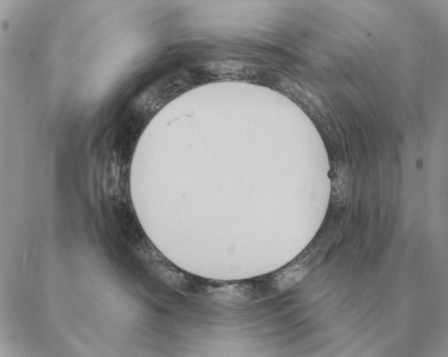 X0000088220430200706121835