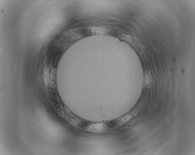 X0000088220431200706121835