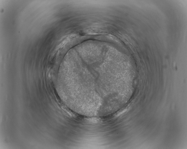 X0000088220432200706121835
