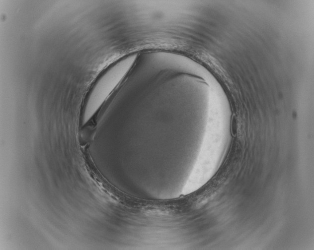 X0000088220434200706121834