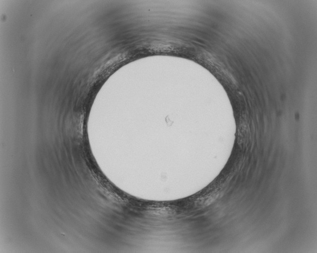 X0000088220454200706121835