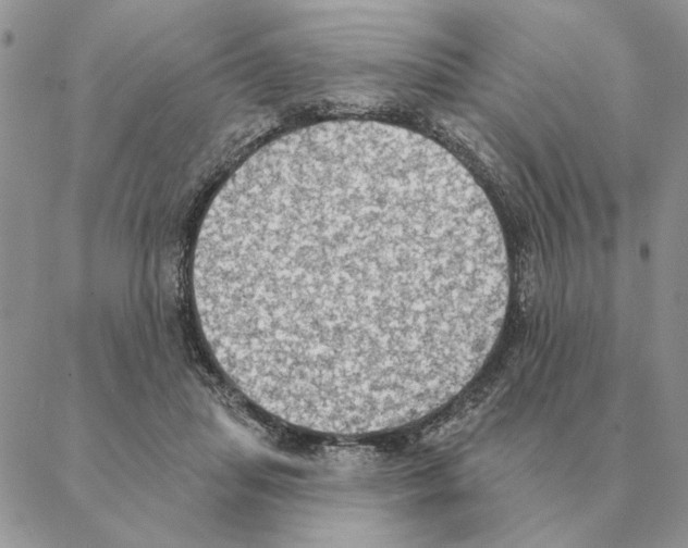 X0000088220455200706121835