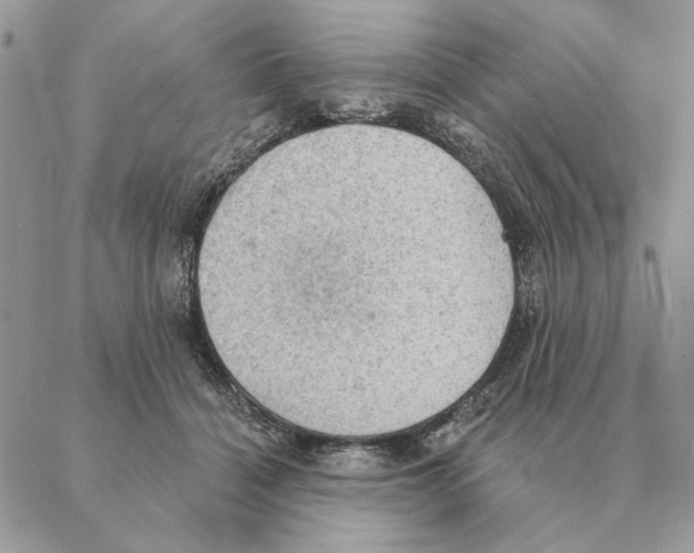 X0000088220460200706121835