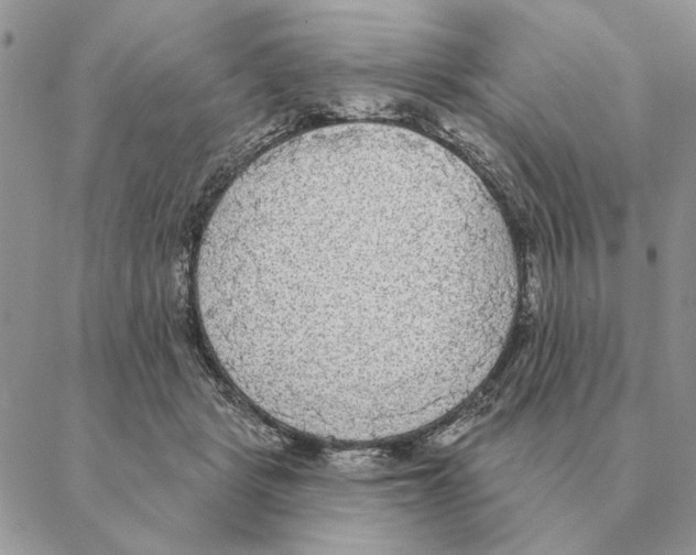 X0000088220461200706121835