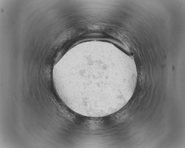 X0000088220466200706121835