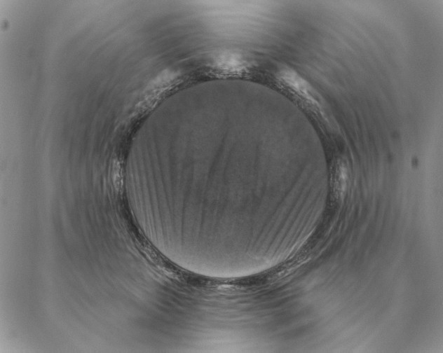 X0000088220467200706121835