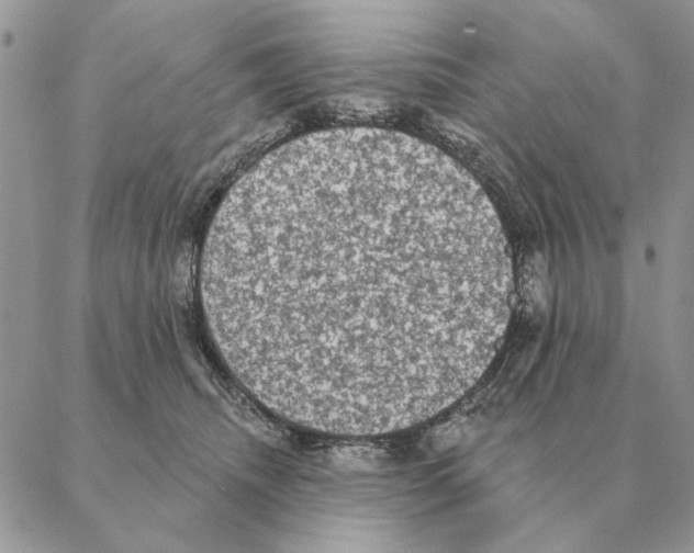 X0000088220468200706121835