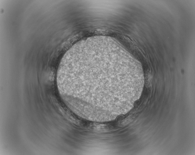 X0000088220472200706121835