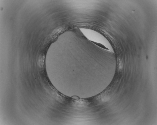 X0000088220475200706121835