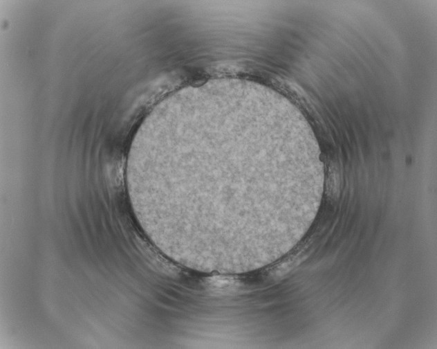 X0000088220477200706121835
