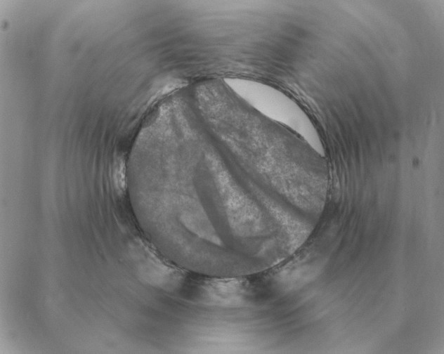 X0000088220479200706121835