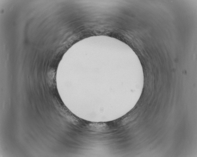 X0000088220480200706121835