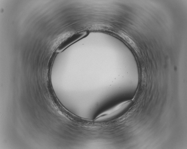 X0000088220485200706121834