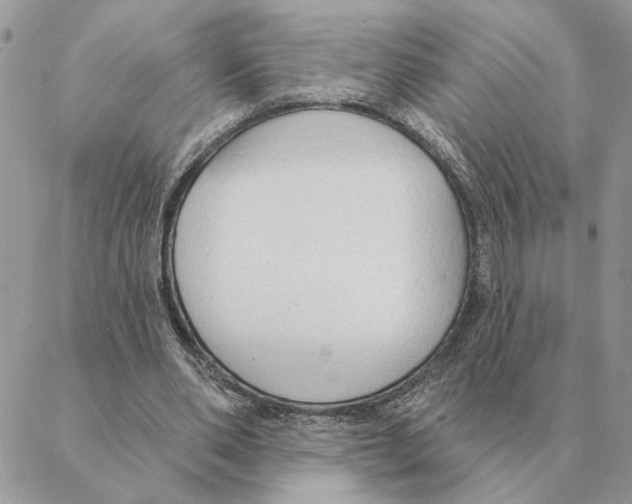 X0000088220486200706121834