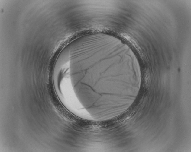 X0000088220496200706121834